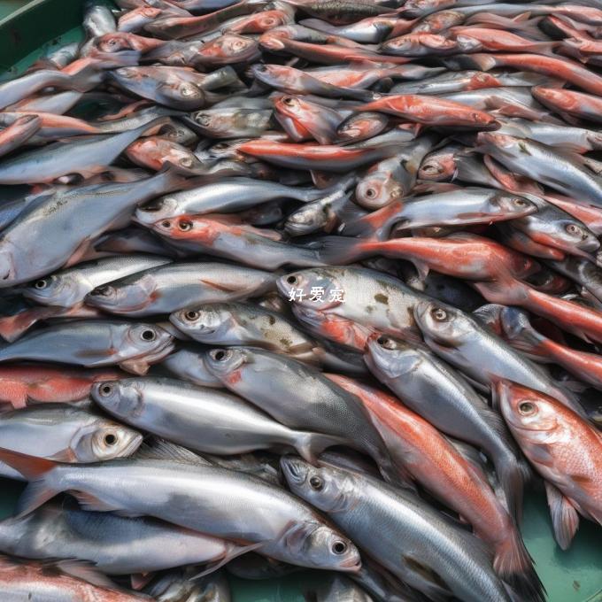 在饲养过程中如何防止鱼类生病并保持其良好状态？