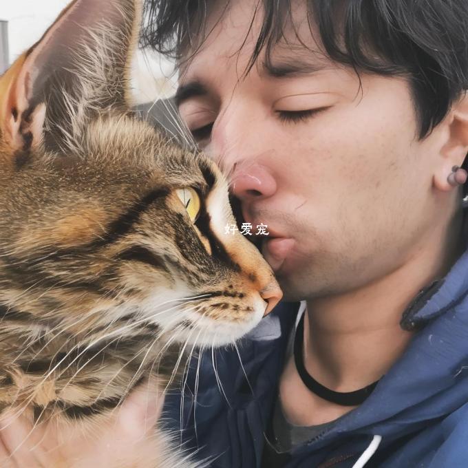 为什么有些猫喜欢舔人脸？