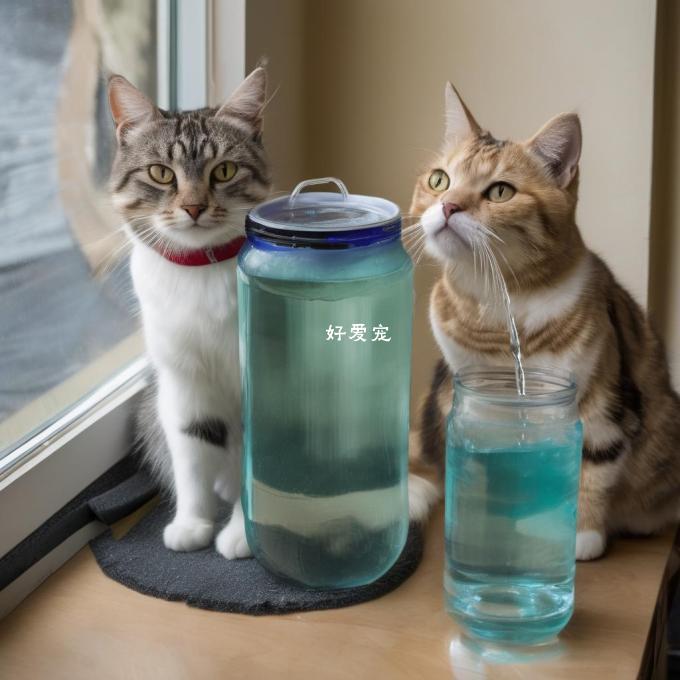 为什么一些猫咪会拒绝使用自制的猫饮水器?