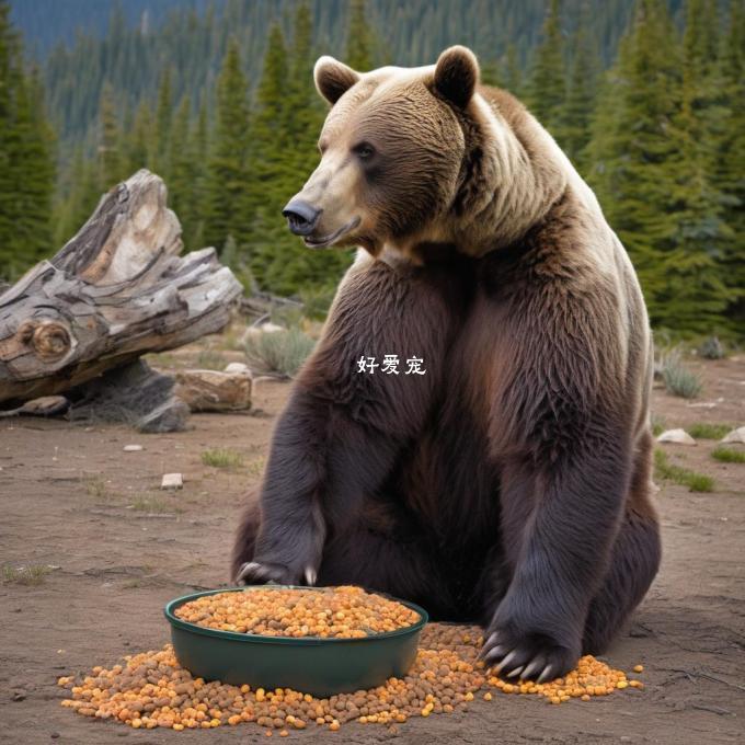 以比熊每天喂多少狗粮的多少方式?